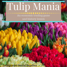 Tulip Mania 2